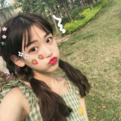 功夫兔与菜包狗第一季